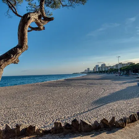 아파트 Old Side Duplex Platja D Aro 플라티야 다로