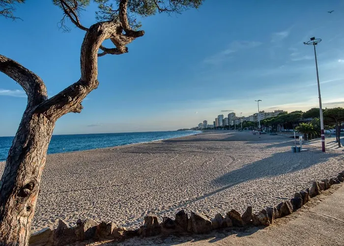 Апартаменти Old Side Duplex Platja D Aro *