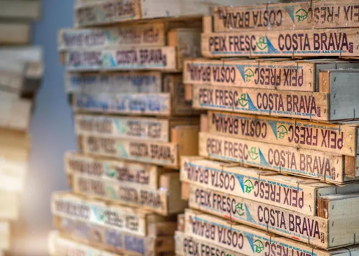 Old Side Duplex Platja D Aro *